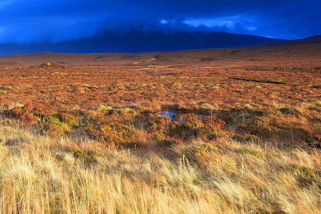 Moorland and mountains of northern Sutherland in winter, Highlands, Scotland, United Kingdom, Europe