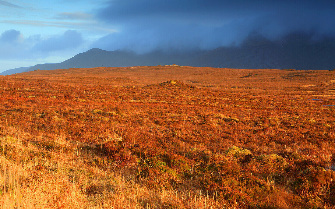 Moorland and mountains of northern Sutherland in winter, Highlands, Scotland, United Kingdom, Europe