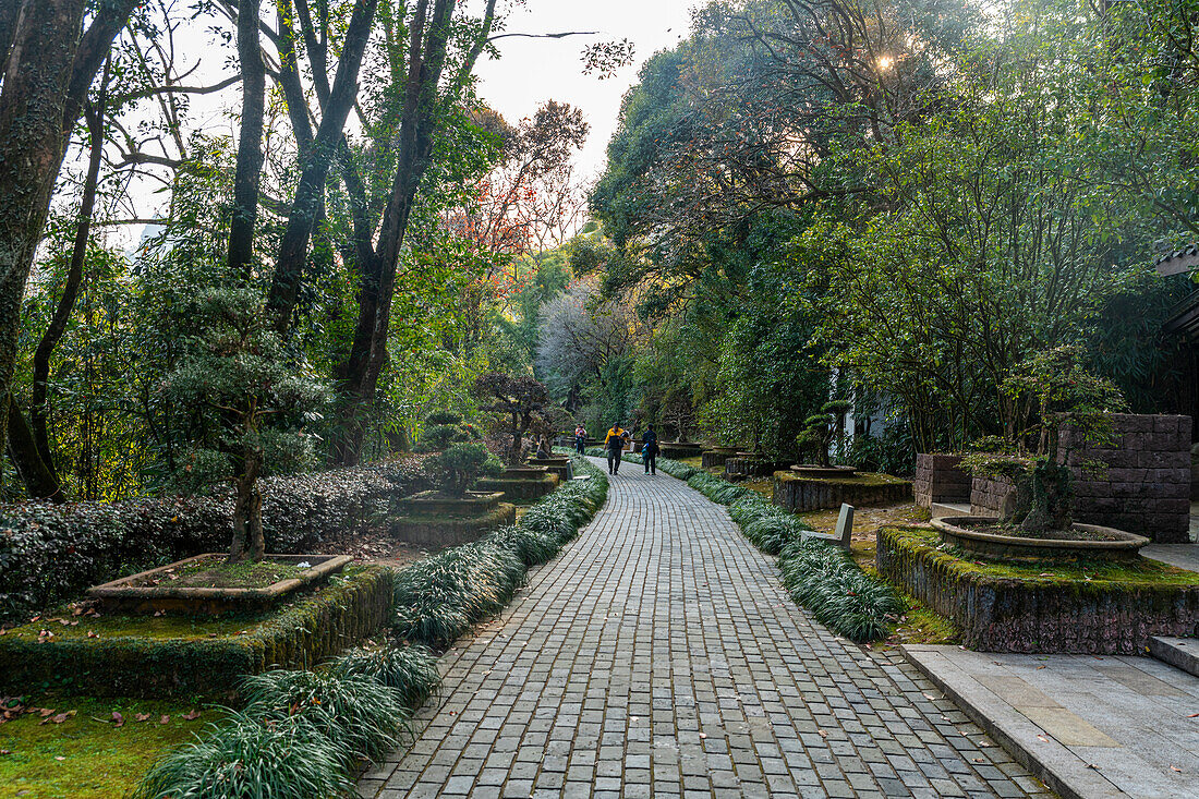 Kleiner Park, Wuyi-Gebirge, UNESCO-Welterbe, Fujian, China, Asien