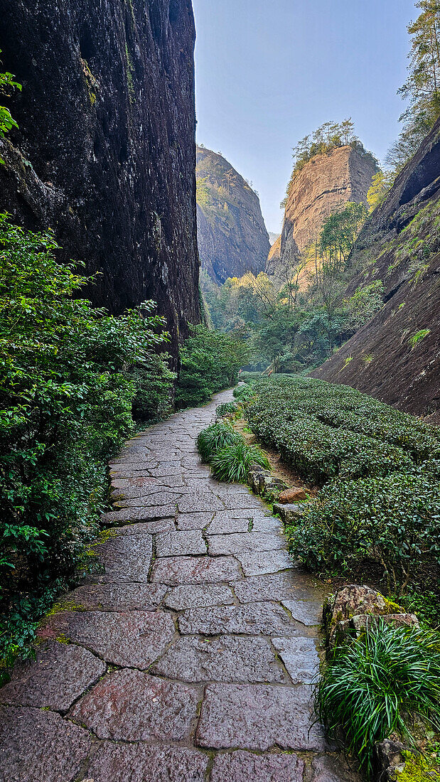 Huge granite rock, Wuyi Mountains, UNESCO World Heritage Site, Fujian, China, Asia