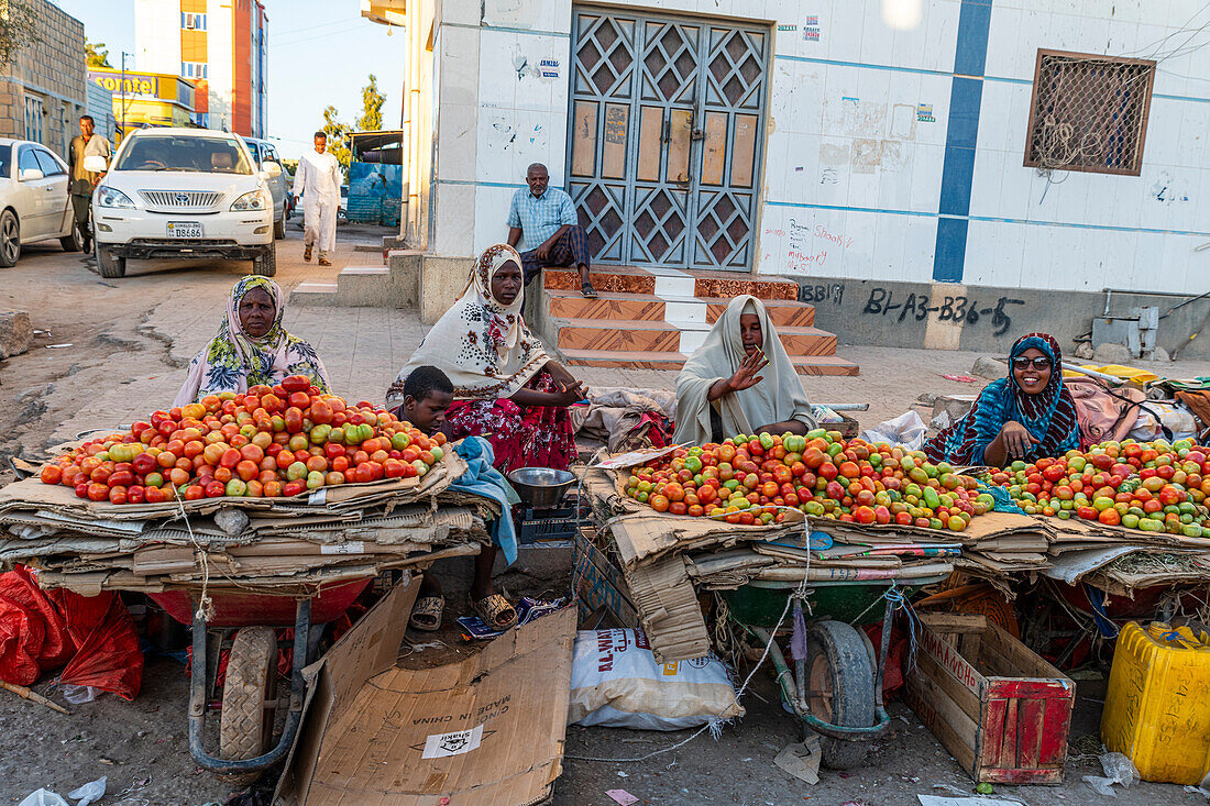 Frau verkauft Tomaten, Burao, südöstliches Somaliland, Somalia, Afrika