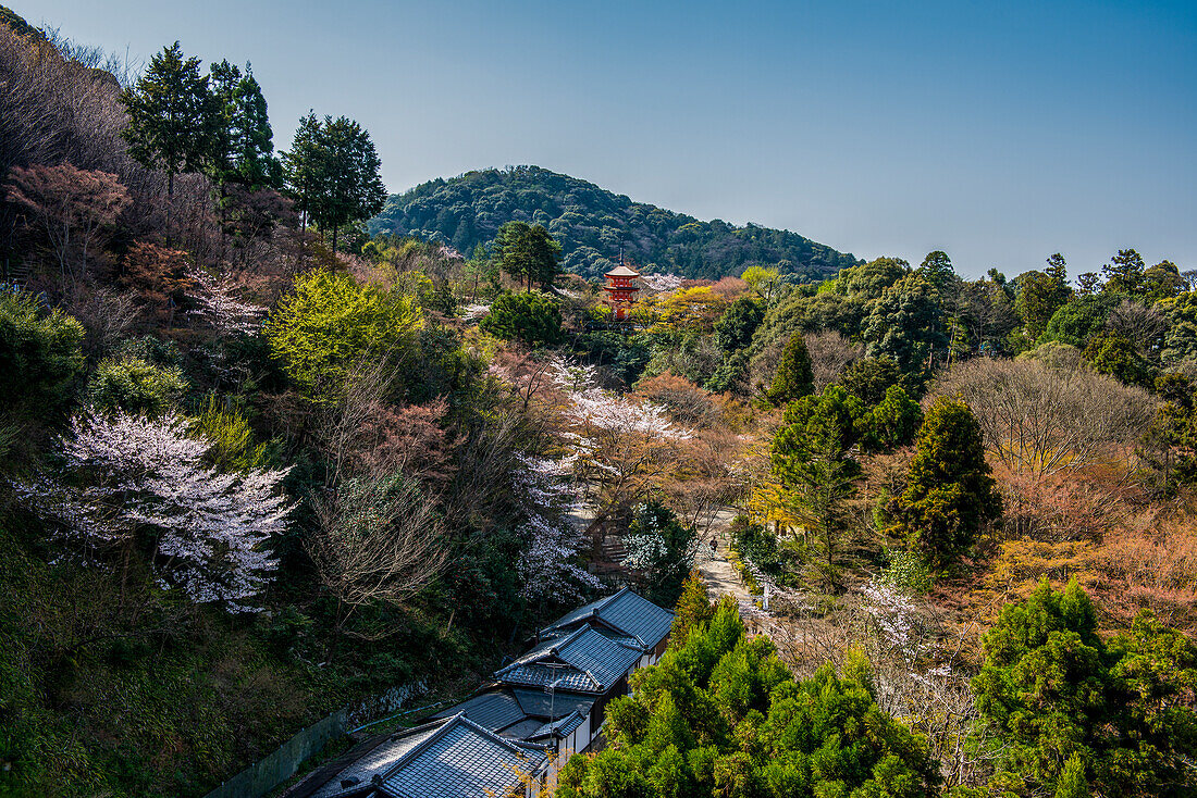 Buddhistischer Tempel Kiyomizu-dera, UNESCO-Welterbestätte, Kyoto, Honshu, Japan, Asien