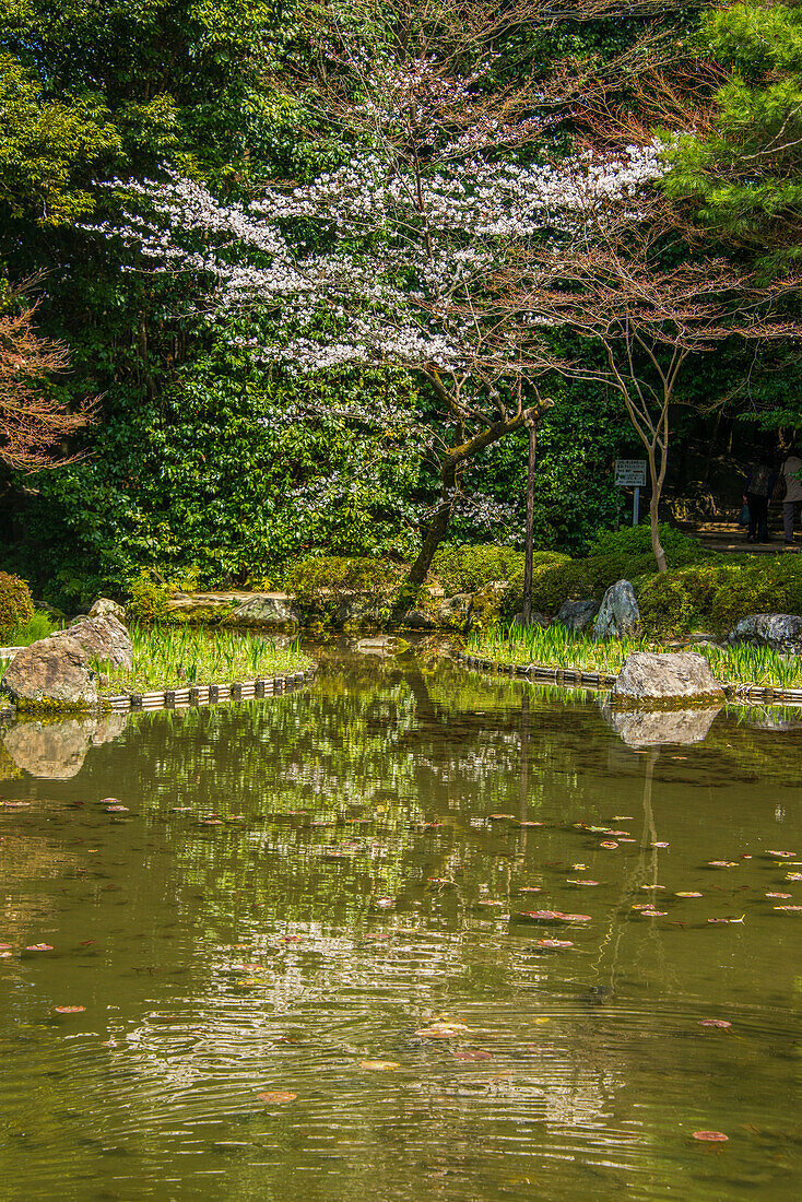 Okazaki-Park im Heian-Jingu-Schrein, Kyoto, Honshu, Japan, Asien