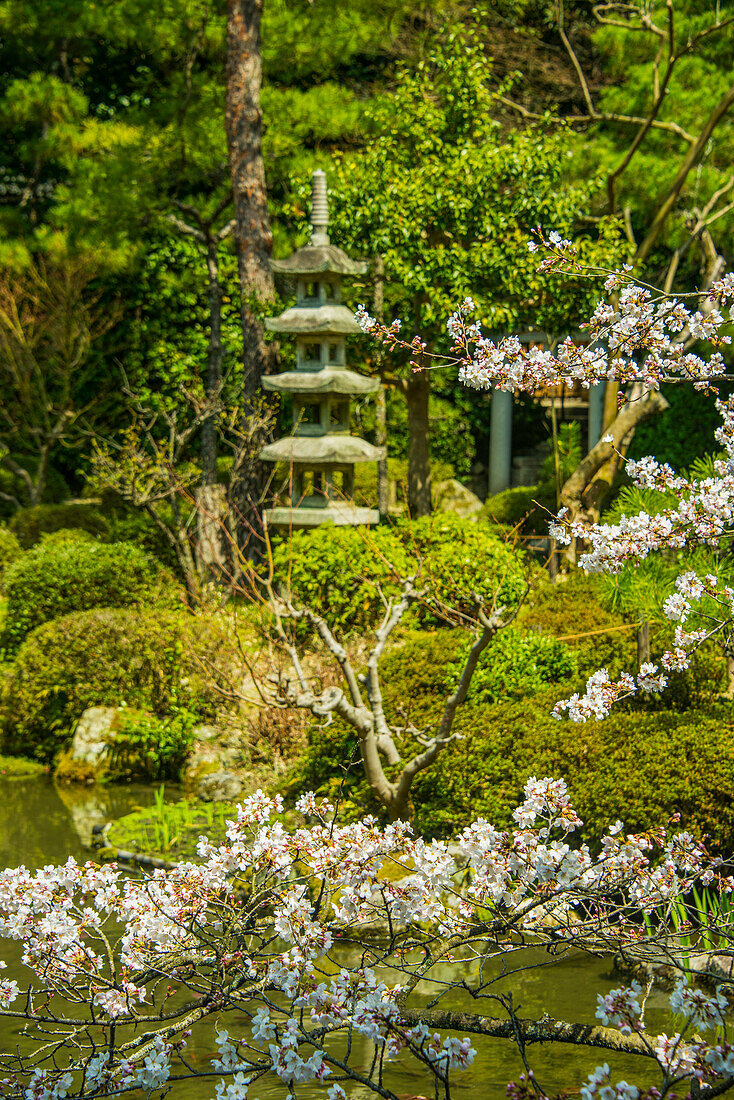 Okazaki-Park im Heian-Jingu-Schrein, Kyoto, Honshu, Japan, Asien