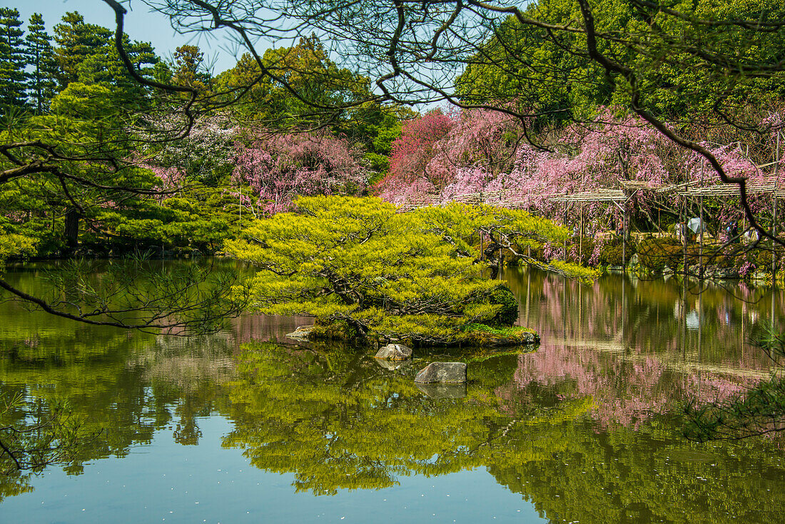 Okazaki-Park im Heian-Jingu-Schrein, Kyoto, Honshu, Japan, Asien