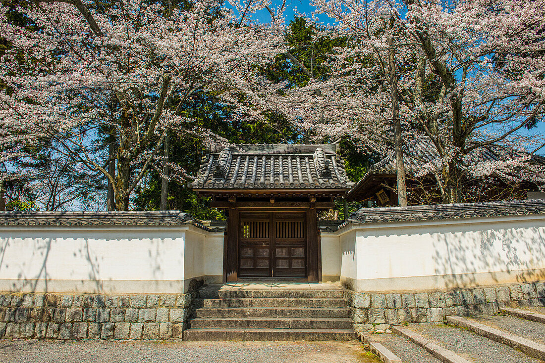 Nanzen-ji-Tempel, Kyoto, Honshu, Japan, Asien