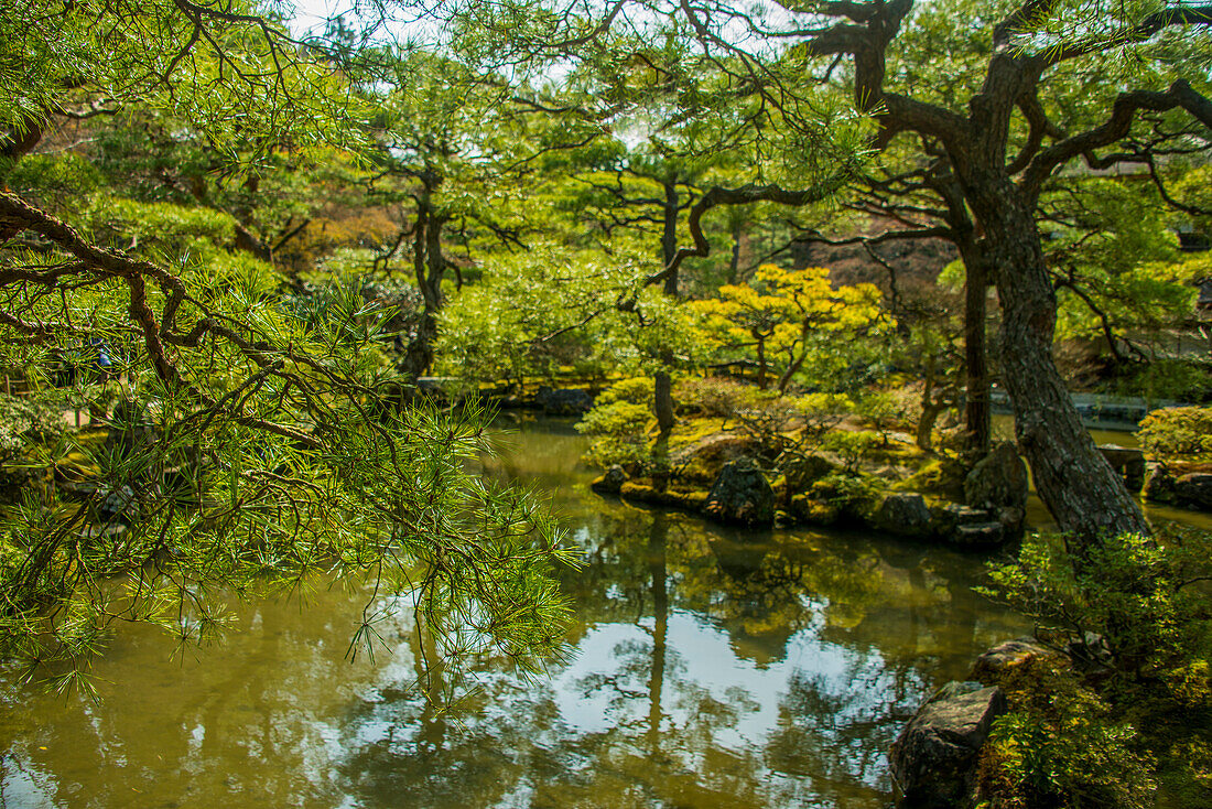 Garden, Ginkaku-ji Zen Temple (Jisho-ji) (Temple of the Silver Pavilion), UNESCO World Heritage Site, Kyoto, Honshu, Japan, Asia