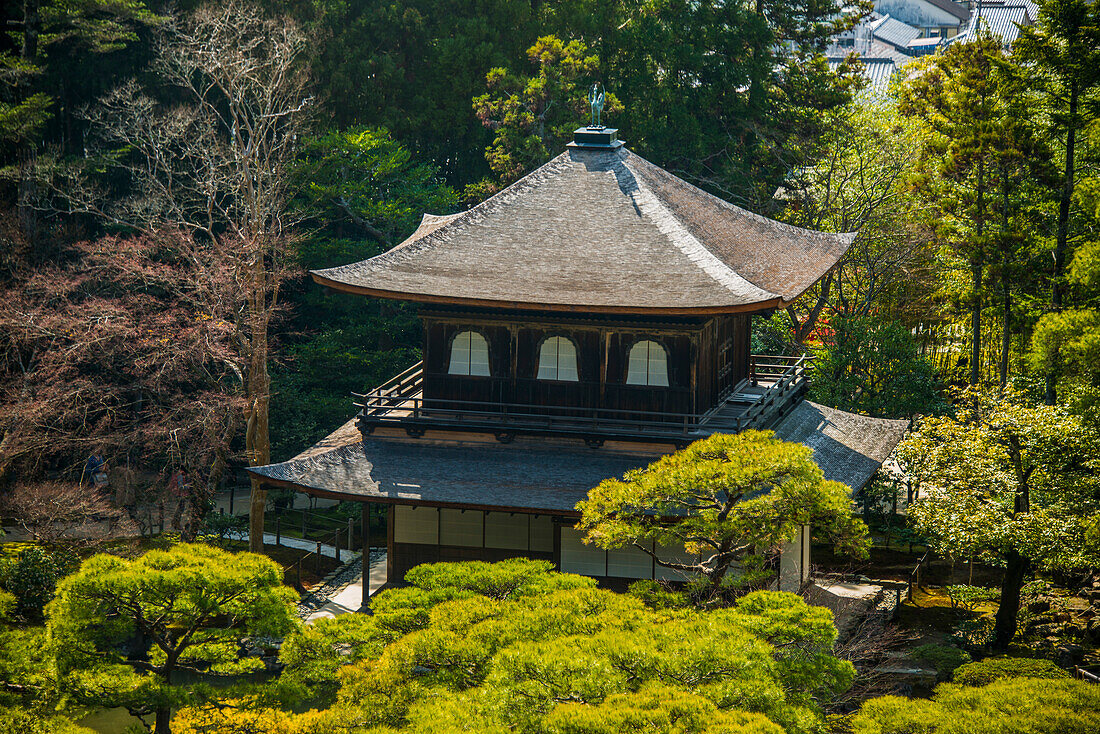 Ginkaku-ji Zen-Tempel (Jisho-ji) (Tempel des Silbernen Pavillons), UNESCO-Weltkulturerbe, Kyoto, Honshu, Japan, Asien