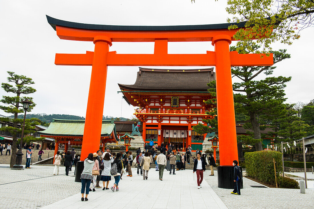 Red entrance gate at the Endless Red Gates of Kyoto's Fushimi Inari, Kyoto, Honshu, Japan, Asia