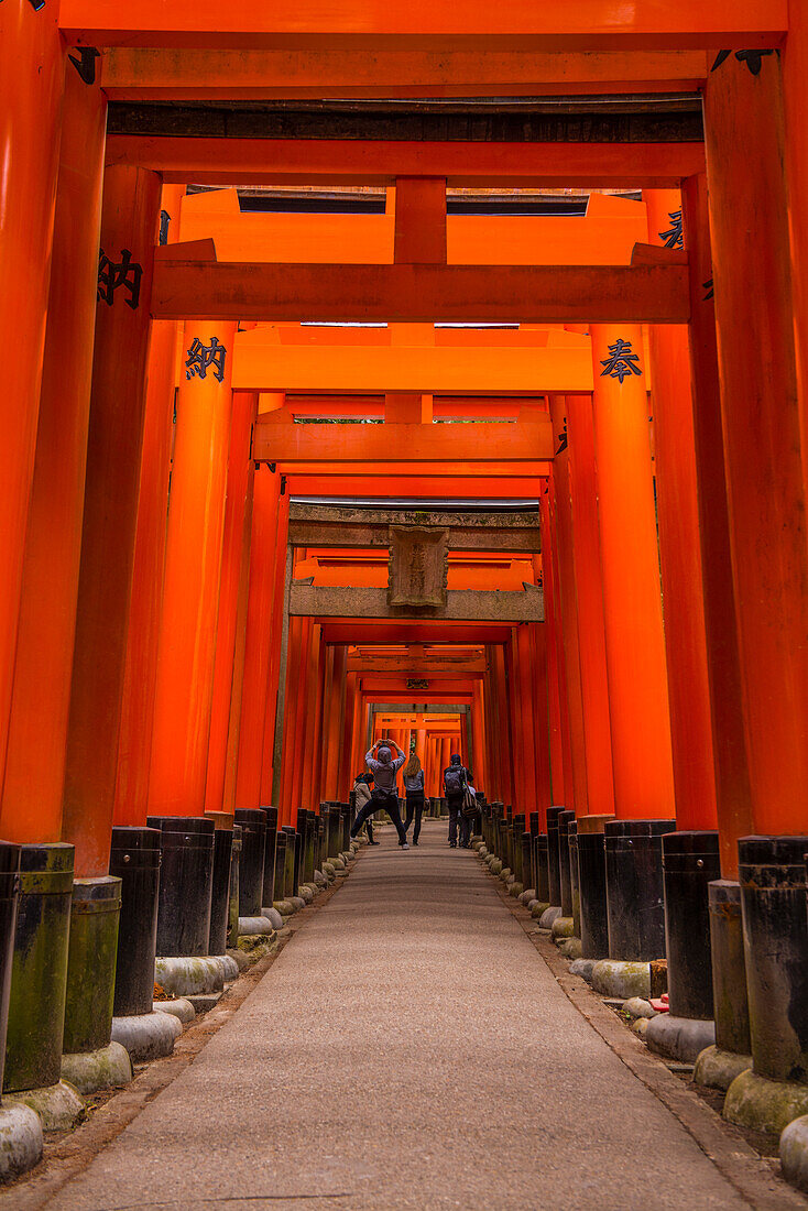 Die endlosen roten Tore (Torii) von Kyotos Fushimi Inari, Kyoto, Honshu, Japan, Asien