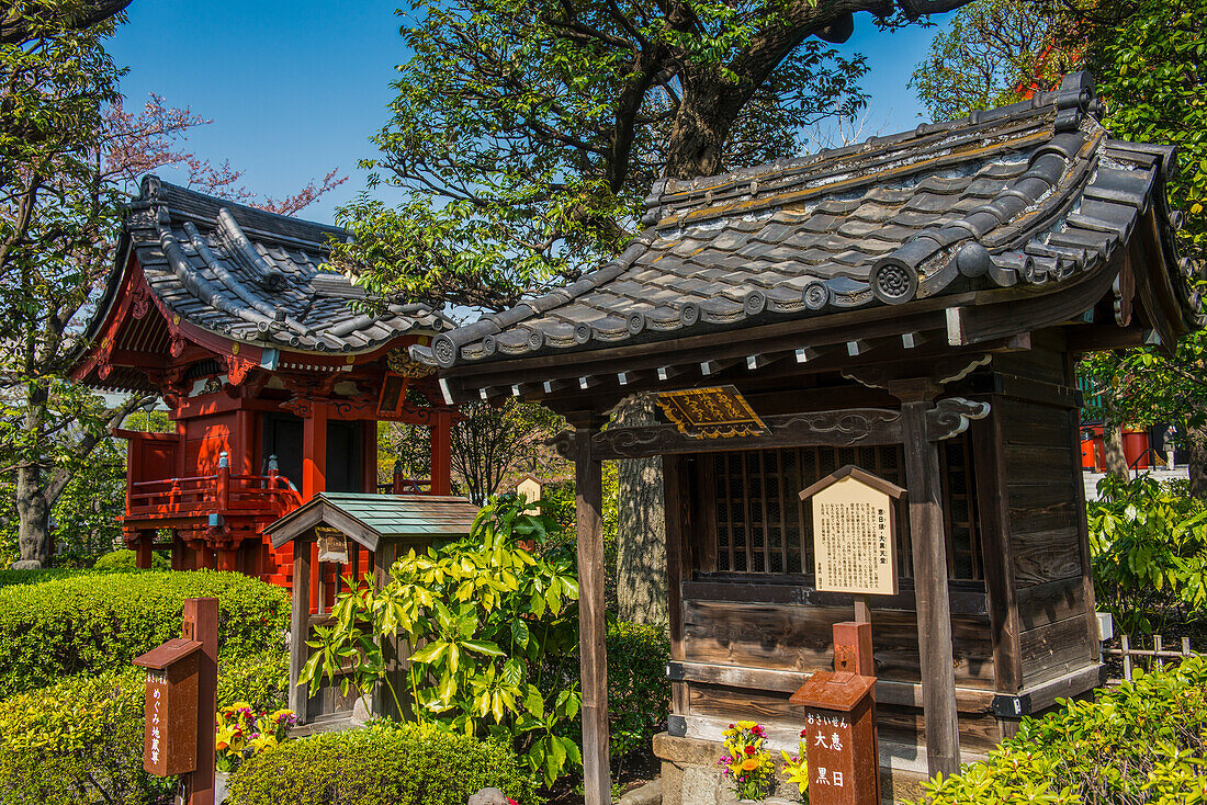 Kleiner Schrein im Senso-ji-Tempel, Asakusa, Tokio, Honshu, Japan, Asien