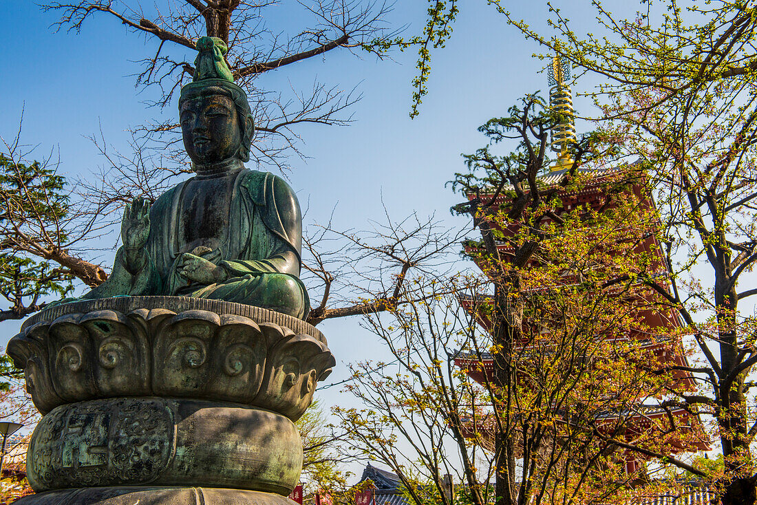 Buddha-Statue im Senso-ji-Tempel, Asakusa, Tokio, Honshu, Japan, Asien