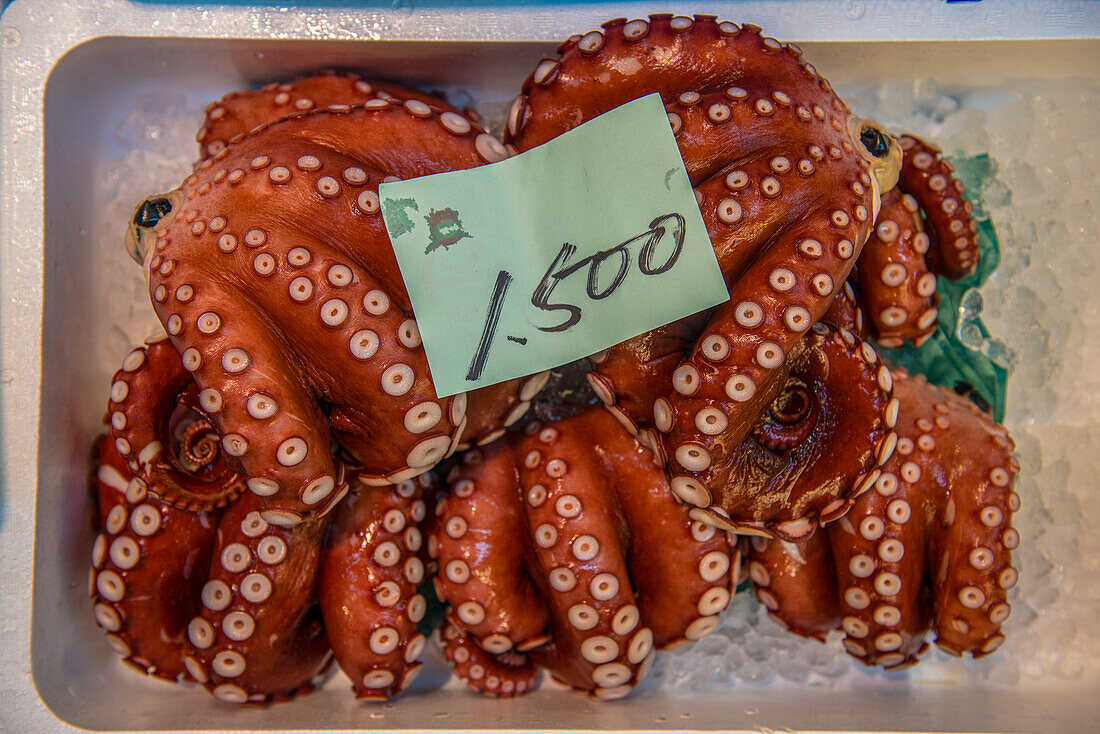 Frischer Tintenfisch auf dem Tsukiji-Fischmarkt, Tokio, Honshu, Japan, Asien