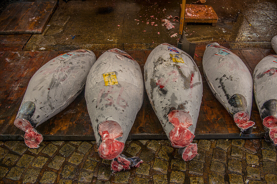 Gefrorener Thunfisch auf dem Tsukiji-Fischmarkt, Tokio, Honshu, Japan, Asien