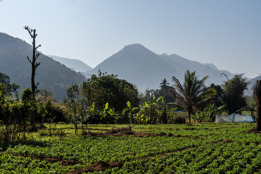 Mountain scenery in Mae Hong Son province, Thailand, Southeast Asia, Asia