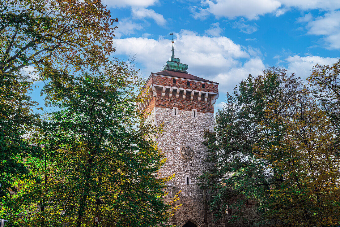 Niedriger Blick auf den gotischen Turm aus dem 14. Jahrhundert, das Sankt-Florian-Tor (Brama Florianska), vor einem blauen Himmel mit Wolken, UNESCO-Weltkulturerbe, Karakow, Polen, Europa