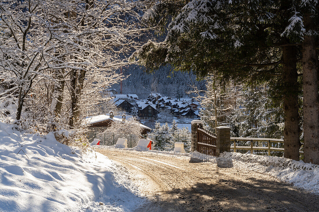 Winter in Ponte di Legno, Vallecamonica, Provinz Brescia, Region Lombardei, Italien, Europa