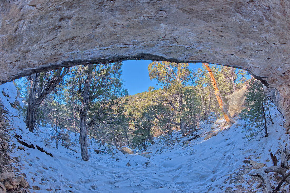 View from below a cliff ledge just west of Hermits Rest, Grand Canyon, Arizona, United States of America, North America