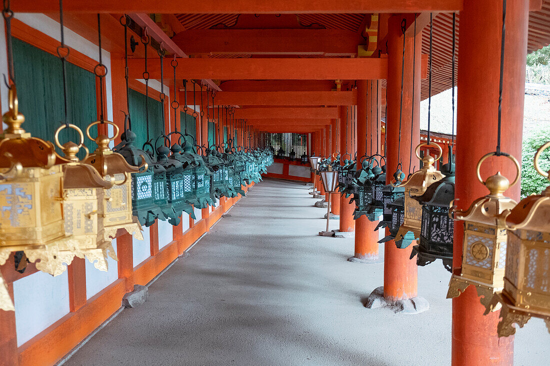 Zwei Reihen von Laternen in leuchtenden Gold- und Grüntönen hängen anmutig von einem Säulengang eines Tempels in Nara, Honshu, Japan, Asien