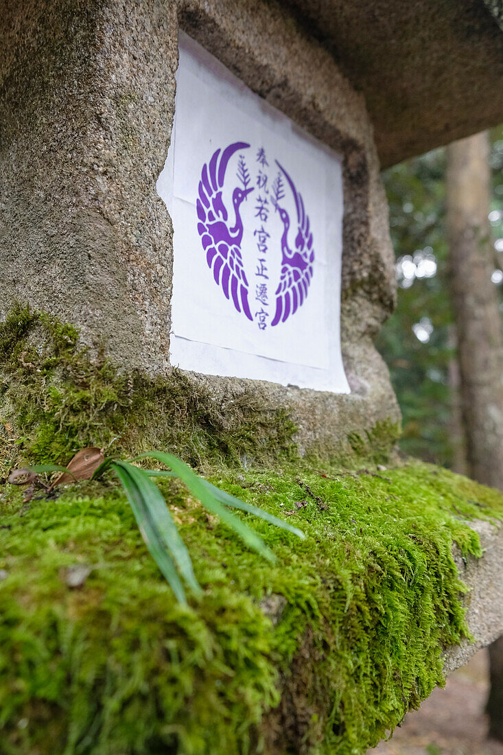 Eine mit lebhaftem Moos bedeckte Steinlaterne in einem Wald in Nara, Honshu, Japan, Asien