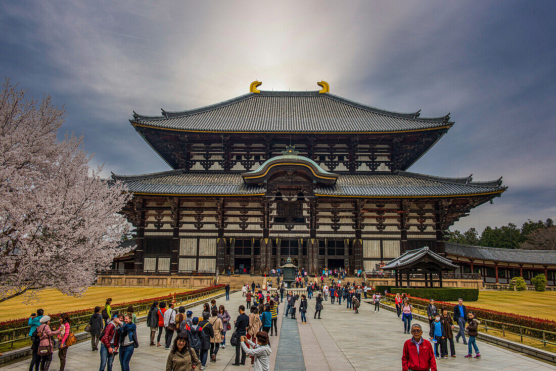 Todaiji-Tempel, UNESCO-Welterbestätte, Nara, Kansai, Honshu, Japan, Asien