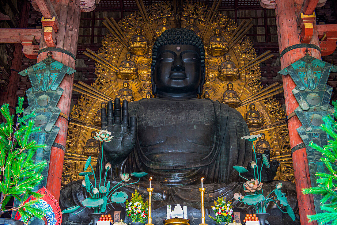 Big Buddha, Daibutsuden (Big Buddha Hall), Todaiji Temple, UNESCO World Heritage Site, Nara, Kansai, Honshu, Japan, Asia