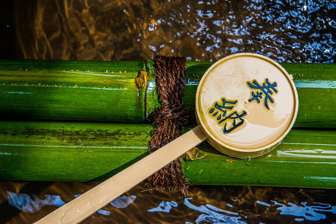 Water dipper, UNESCO World Heritage Site, Nara, Kansai, Honshu, Japan, Asia