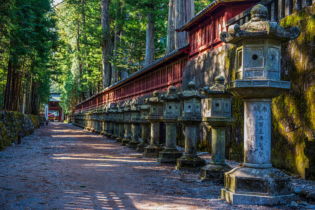 Steinlaternen im Futarasan-Schrein, UNESCO-Welterbestätte, Nikko, Präfektur Tochigi, Kanto, Honshu, Japan, Asien