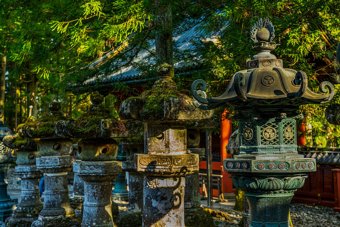 Überwucherte Steinlampen, Toshogu-Schrein, UNESCO-Weltkulturerbe, Nikko, Präfektur Tochigi, Kanto, Honshu, Japan, Asien