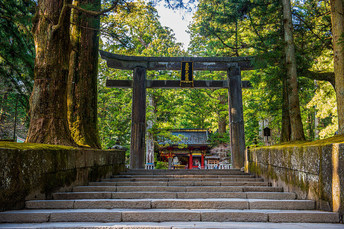 Eingangstor zum Toshogu-Schrein, UNESCO-Welterbestätte, Nikko, Präfektur Tochigi, Kanto, Honshu, Japan, Asien