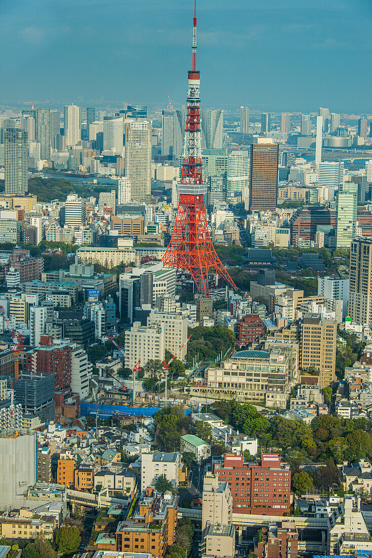 Blick über Tokio mit dem Tokyo Tower, vom Mori Tower, Roppongi Hills, Tokio, Honshu, Japan, Asien