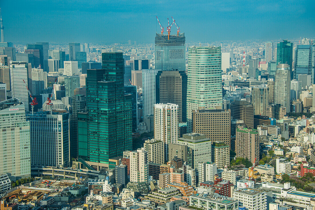 View over Tokyo from the Roppongi Hills, Tokyo, Honshu, Japan, Asia