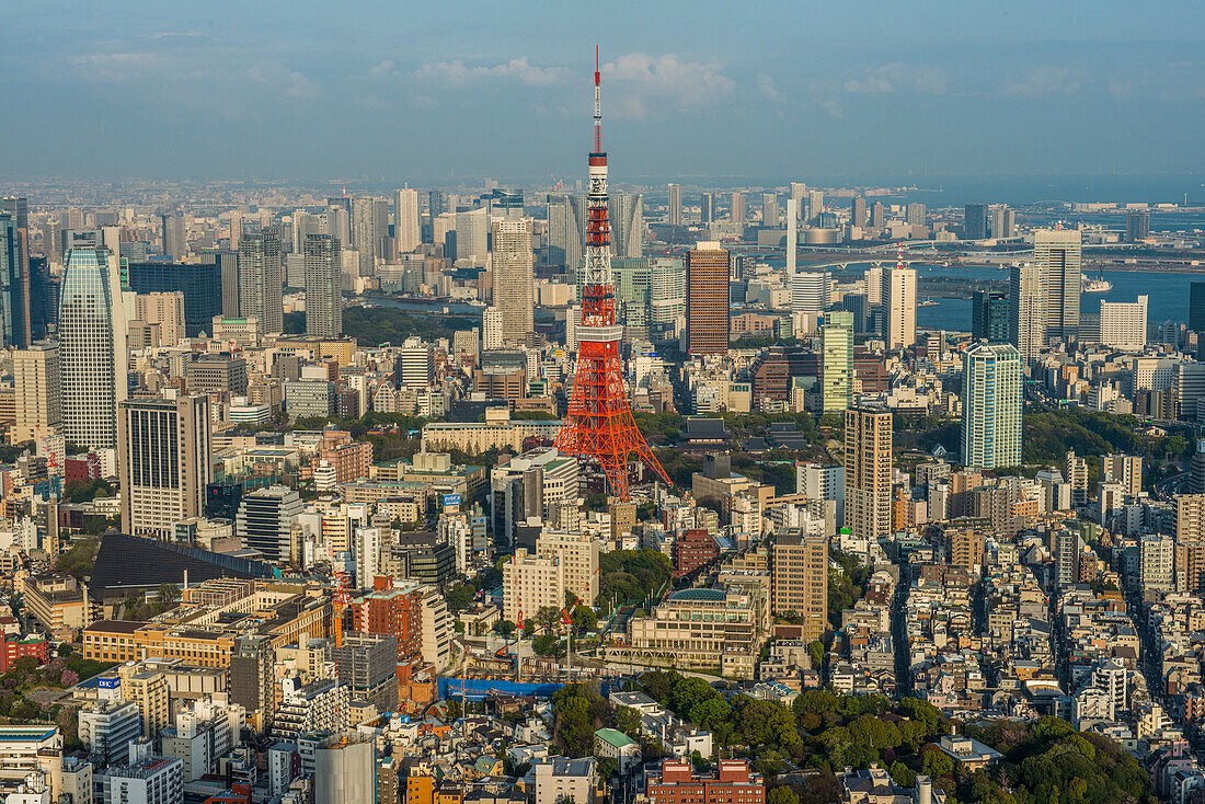 Blick über Tokio mit dem Tokyo Tower, vom Mori Tower, Roppongi Hills, Tokio, Honshu, Japan, Asien