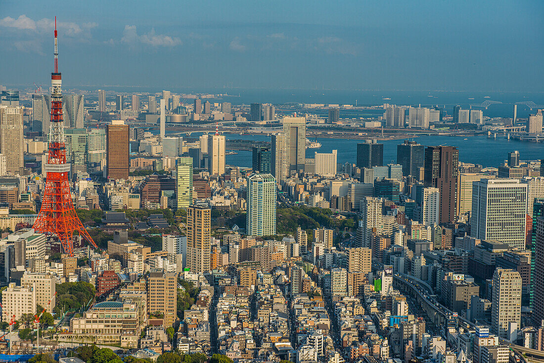 View over Tokyo with the Tokyo Tower, from the Mori Tower, Roppongi Hills, Toykyo, Honshu, Japan, Asia