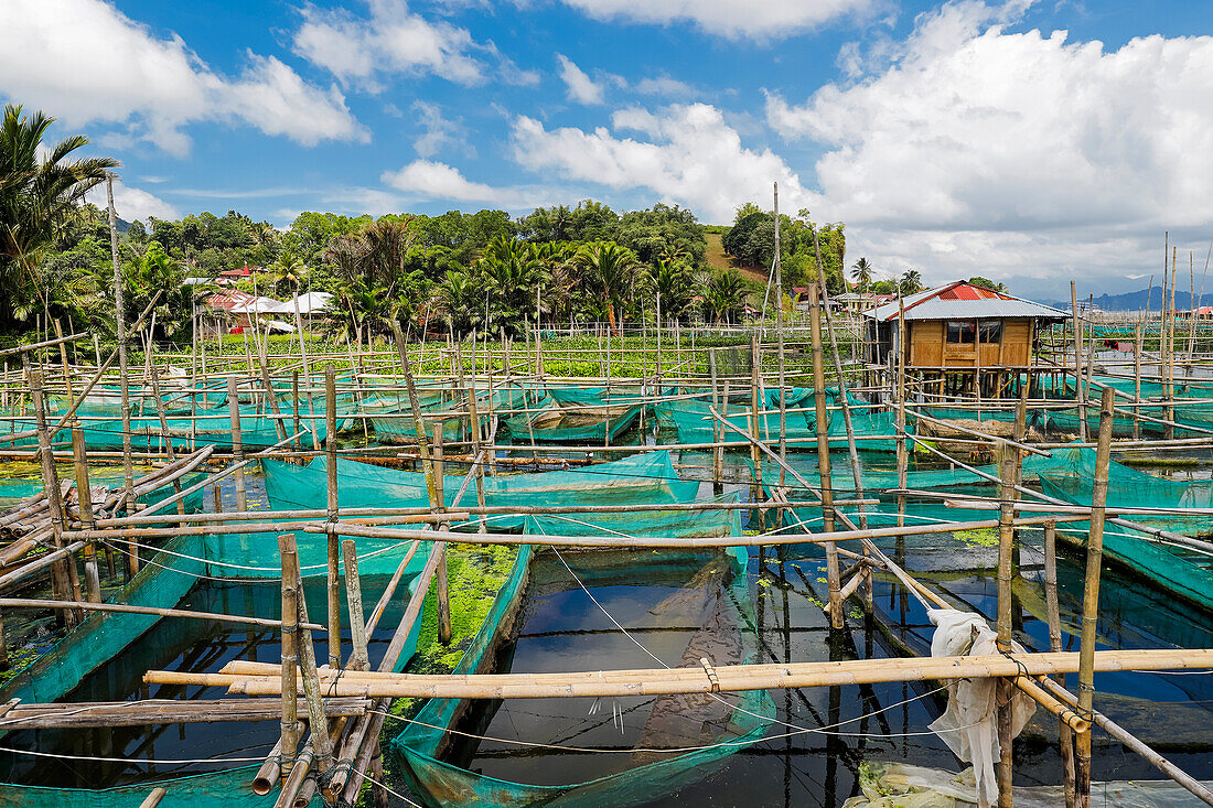 Bambus- und Netzfischzucht an diesem großen See, der unter der Hitze des Klimawandels, Schadstoffen und Sauerstoffmangel leidet, Tondano-See, Minahasa, Nordsulawesi, Indonesien, Südostasien, Asien