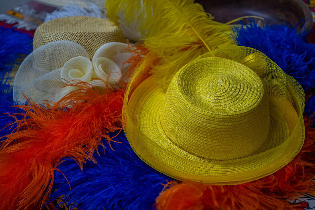 View of Ostrich feathers on display with a straw hat, at Safari Ostrich Farm, Oudtshoorn, Western Cape, South Africa, Africa