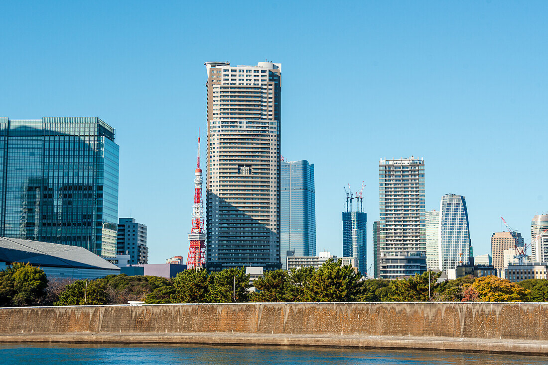 Hochhaus am Wasser mit dem ikonischen Tokyo Tower und blauem Himmel, Tokio, Honshu, Japan, Asien