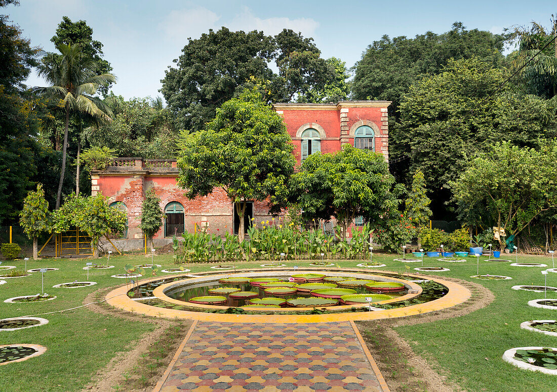 Abteilung für Wasserpflanzen, Botanischer Garten, Kalkutta, Westbengalen, Indien, Asien