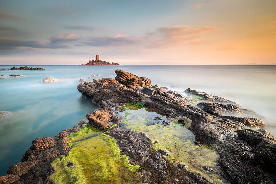 France, Var, Agay commune of Saint-Raphael, Estérel massif, the Corniche d'Or, the Ile d'Or tower off the Dramont cape