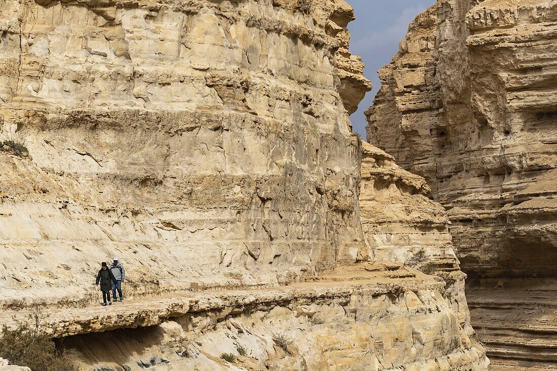 Israel, South District, Negev Desert, Ein Avdat Canyon