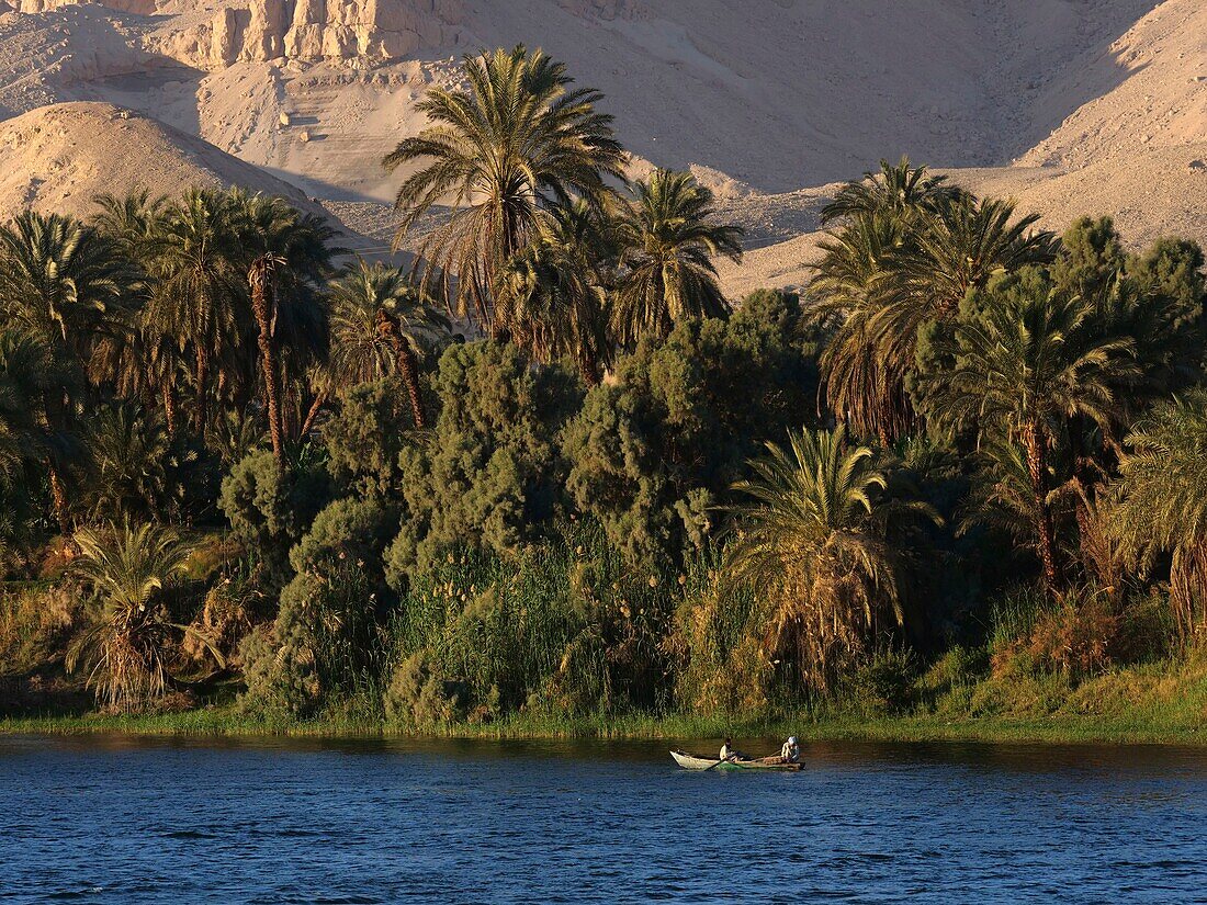 Egypt, Upper Egypt, Nile Valley, The Nile River Views from a Cruise Ship Cruising the Nile at Edfu Level