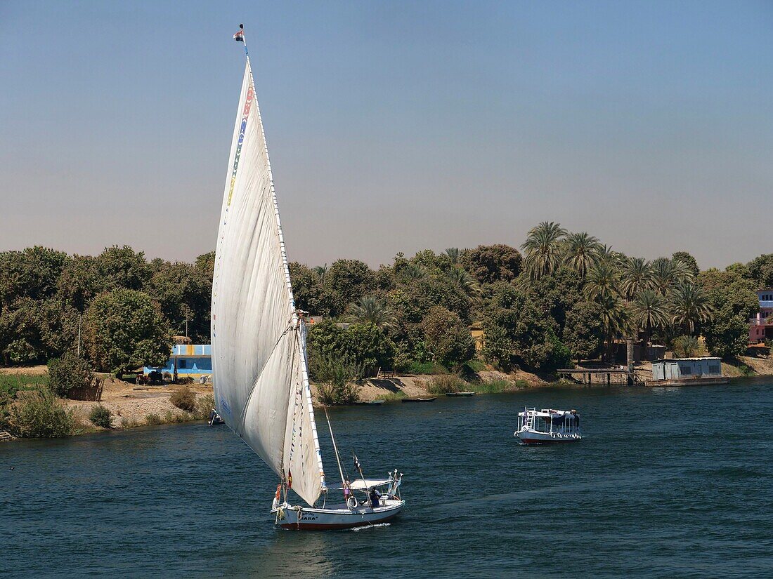 Egypt, Upper Egypt, Nile Valley, Felucca sailing on the Nile at Edfu seen from a cruise ship sailing on the Nile