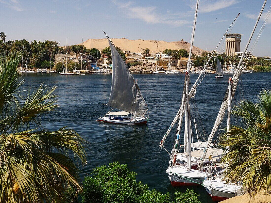 Egypt, Upper Egypt, Nubia, Nile Valley, Aswan, Felucca sailing in front of Elephantine Island