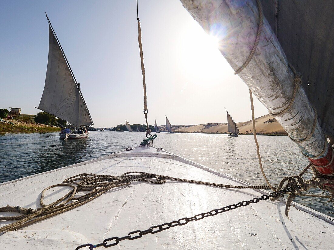 Egypt, Upper Egypt, Nubia, Nile Valley, Aswan, Felucca sailing in front of Elephantine Island