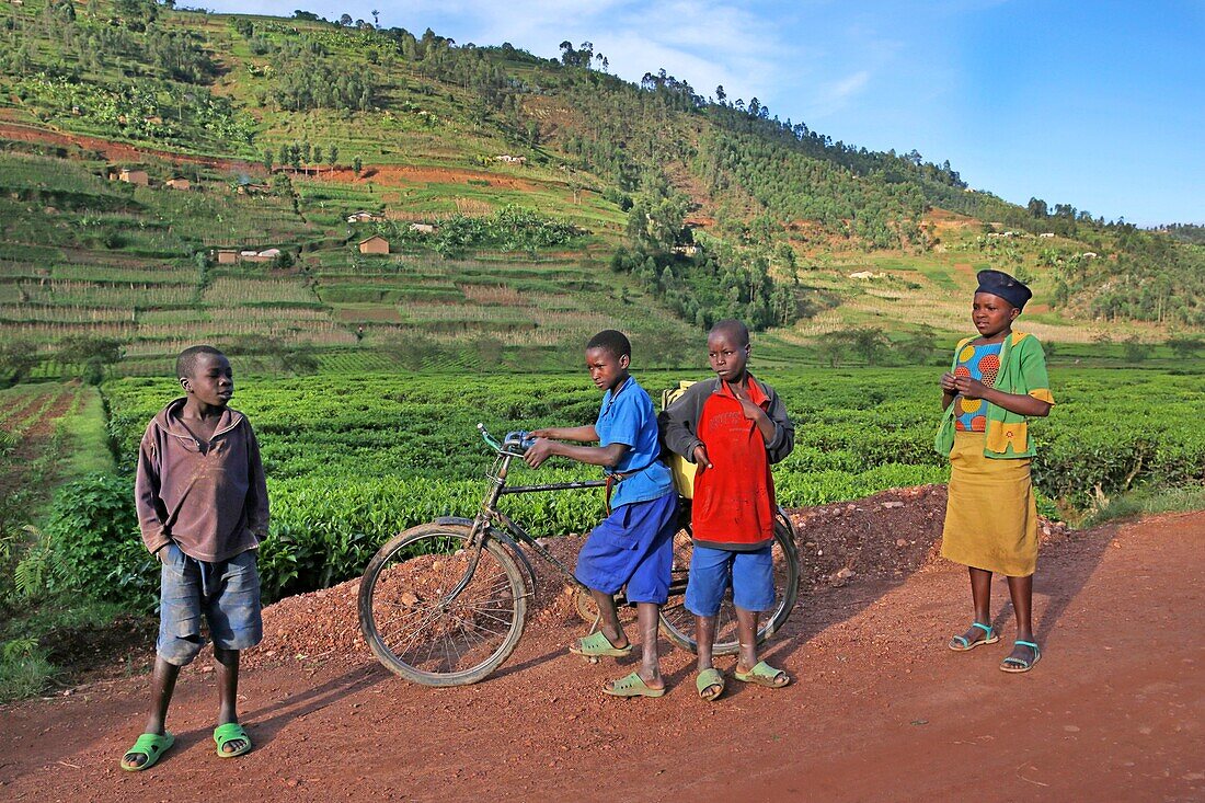 Rwanda, center of the country, children in colorful clothes on a laterite track in the middle of green hills