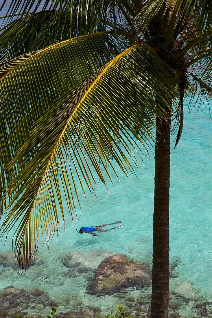 Kolumbien, Providencia Insel, Cayo Cangrejo, Taucher beim Schnorcheln im Karibischen Meer