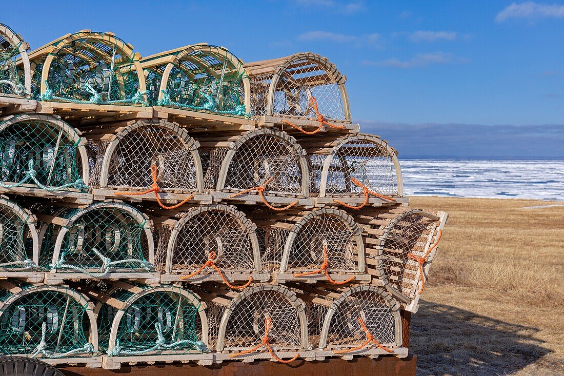 Canada, Province of New Brunswick, Chaleur Region, Chaleur Bay, Great Anse and Bathurst Coast, Lobster Traps