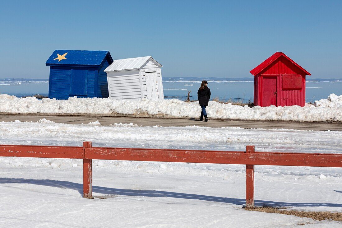 Canada, Province of New Brunswick, Chaleur Region, Chaleur Bay, colorful fishing huts in Acadian colors at Petit-Rocher wharf