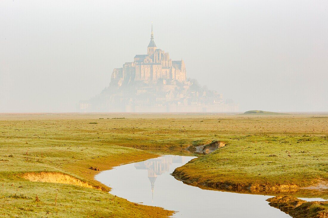 Frankreich, Manche, Mont Saint Michel Bucht als Weltkulturerbe der UNESCO, Mont Saint Michel bei Flut von den gesalzenen Feldern