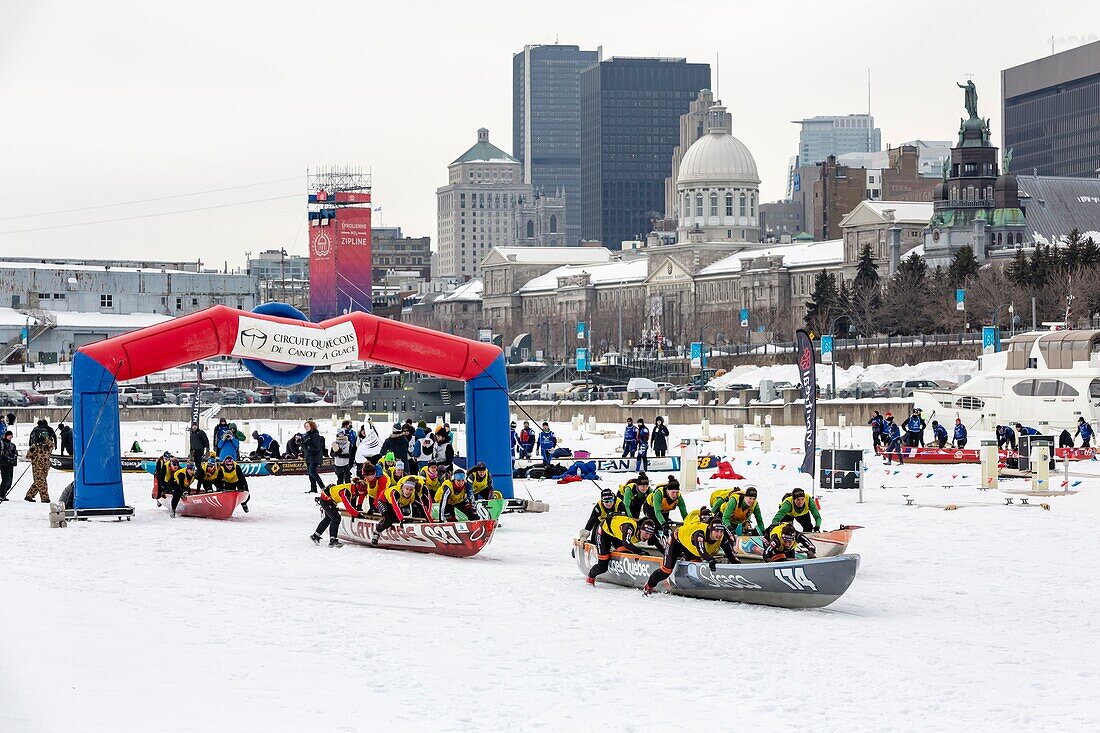 Canada, Quebec province, Montreal, frozen St. Lawrence canoe race, departure from the port of Old Montreal